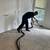 Exceptional -cleaning service - carpet cleaning- home repairs 16 thumbnail