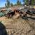 JUNK REMOVAL/TRASH PICKUP/HAULING SERVICE/TRASH REMOVAL/DEMOLITION 9 thumbnail