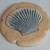 Shell and Sand Dollar tiles (16 ct) and 3 Hanging Beach signs 3 thumbnail