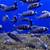 Star Sapphire Tanzania Haplochromis for sale all sizes 4 thumbnail