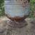 Hog feeder 1 thumbnail