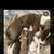 Pitt terrier puppies 5 thumbnail