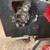 PTO Driven Hydraulic Badger Firewood Processor 9 thumbnail