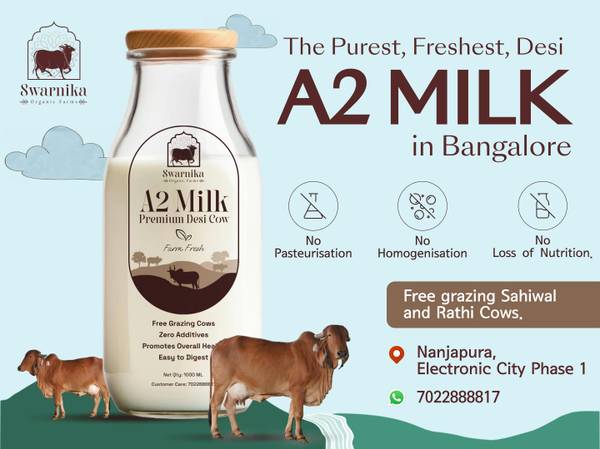 Best organic dairy products in electronic city Bangalore 1
