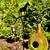 Hand Painted Bottle Gourd Houses For Sale 10 thumbnail