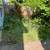 Landscaping & yard work 4 thumbnail