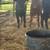 Beef heifers 4 thumbnail