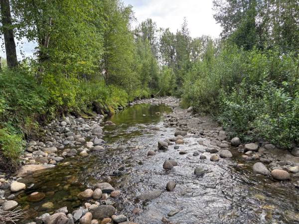 $390,000 / 532738ft2 - 12.23 Acres of Alaskan paradise (Willow)64004784232835123