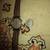 Piquot watch 2 thumbnail