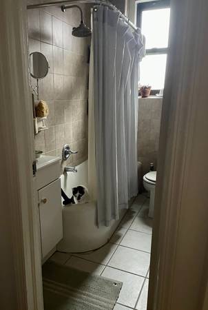 $375 / 1br - 700ft2 - Hermoso departamento de 1 habitación en Bay Ridge + gatos / 24 de septiembre - 5 de octubre (Bay Ridge, Brooklyn)63689627090177124