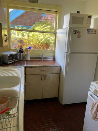 $850 / 1br - $850/mth Sunny room with green view in apt to share near UC Berkeley (berkeley)63686103194113120