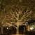 ✨ Professional Christmas Lights Installation – Sacramento & Surrounding Area 10 thumbnail
