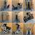 Commercial Gym Equipment- Olympic Squat Rack, Leg Press, Weight Bench 8 thumbnail