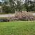 K RUSH TREE SERVICE AND LANDSCAPING LLC 21 thumbnail