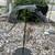 Pterodactyl Lawn Ornament 2 thumbnail