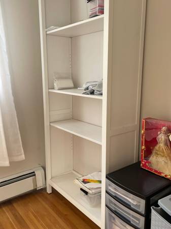 Ikea Billy Bookcase 1