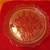 Vintage Clear Glass Serving/Cake Plate 1 thumbnail