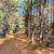 10 Wooded Acres Near Wisconsin Dells 7 thumbnail