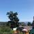 Beautiful Ladysmith Apt #1 20 thumbnail