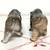 Vintage Bison/Bull/Buffalo Salt & Pepper Shaker Set by "Relco" - Japan 2 thumbnail