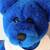 Small Blue Bear w/ Joseph & Amazing Technicolor Dreamcoat Shirt EUC 5 thumbnail