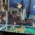 angel fish F1 3 thumbnail