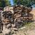 Slabwood / Full Cord Quantities / HALF-PRICE! Pickup Only 1 thumbnail