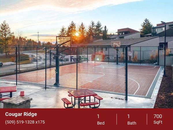 $1,120 / 1br - 700ft2 - Green Space, Yoga Room, Pay Rent Online (2024 NE Terre View Dr. Pullman, WA. 99163)63980822411267120