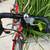 Islabikes Luath 24 8spd Red Youth Junior Road CycloCross Triathlon 2 thumbnail