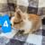 Rabbits 3 thumbnail