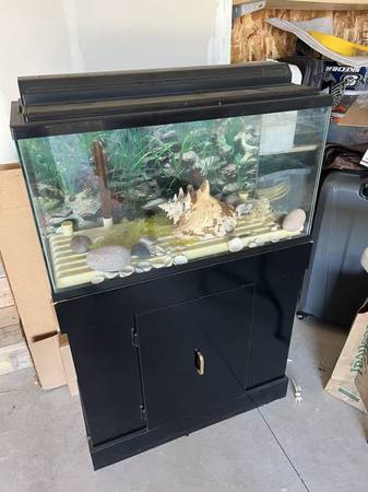 20 Gallon Fish Tank With Stand 1