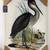Framed Heron Wall Art (Large Canvas) 1 thumbnail