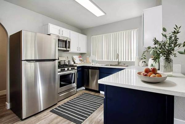 $1.500 / 2br - 1200ft2 - Un lugar acogedor para ti y tus mascotas al que llamar hogar. ¡Admite mascotas!63859501882241124