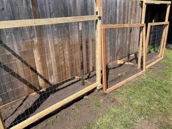 Seeking free pressure treated scrap wood 1