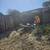 Affordable Tree Care (San Rafael) 8 thumbnail