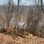 Vacant Lot on Wisconsin River 14 thumbnail