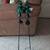 Christmas tree stake solar lights 3 thumbnail