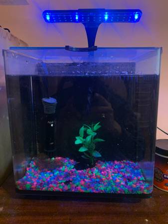 Fish tank (Brooklyn)63930930297603122