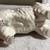 Vintage Weswick Made in England Porcelain China Terrier 6" L X 5" H X 7 thumbnail
