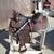 Saddles and Tack 14 thumbnail