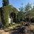 General Laborer / Ayudante de Jardinería, $20 to $25/hr, Ojai & SB 2 thumbnail