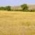 Rewarding Missouri Riverfront Acreage 12 thumbnail