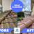$30OFF WINDOW CLEANING, GUTTER, ROOF, CLEANING PRESSURE/POWER WASHING 12 thumbnail
