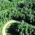 Vacant Wooded Parcel in Wisconsin Dells 11 thumbnail