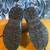 Thinsulate Water Resistant Boots Size 10 Mens 4 thumbnail