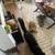 rare french lop rabbit for emergency rehoming 4 thumbnail