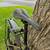 SPECIALIZED Sequoia Elite 58 in Kombu/Charcoal Reflective (2019) 10 thumbnail