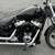 2022 HARLEY DAVIDSON SOFTAIL STANDARD 1K MILES FINANCING AVAILABLE 8 thumbnail