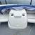 19' Bayliner 195 Classic 2006 9 thumbnail