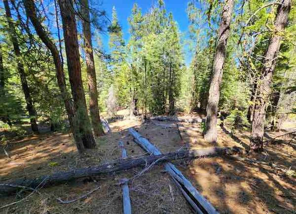 $125 Your Flood-Free Forested Getaway Near Alturas! (Alturas, CA)64043669340291121